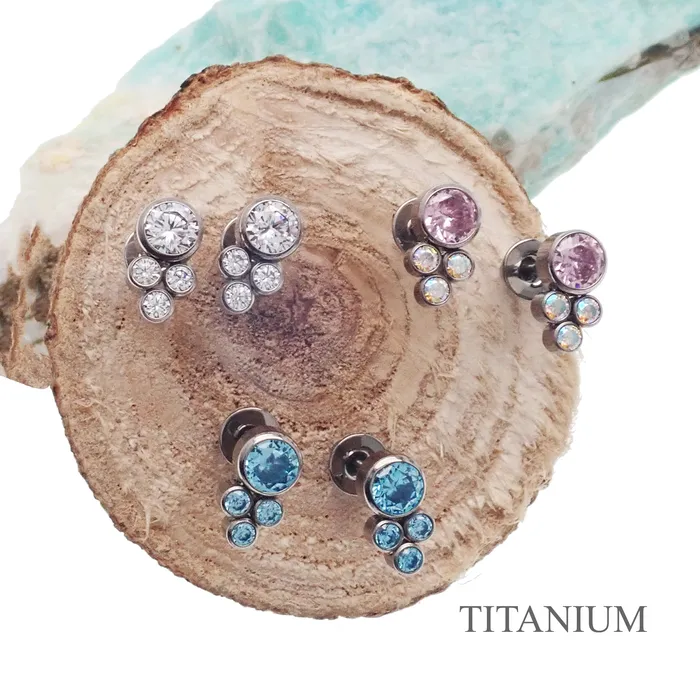 Earrings Halobes Titanium Earrings CZ cluster
