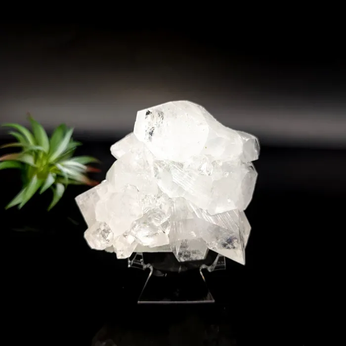 Charm Necklaces Bliss Crystals Diamond Apophyllite 28 Cluster LV7071